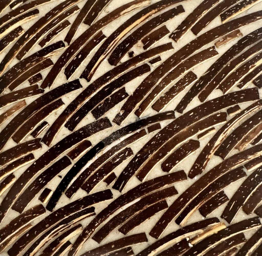 Coco Curve Brown