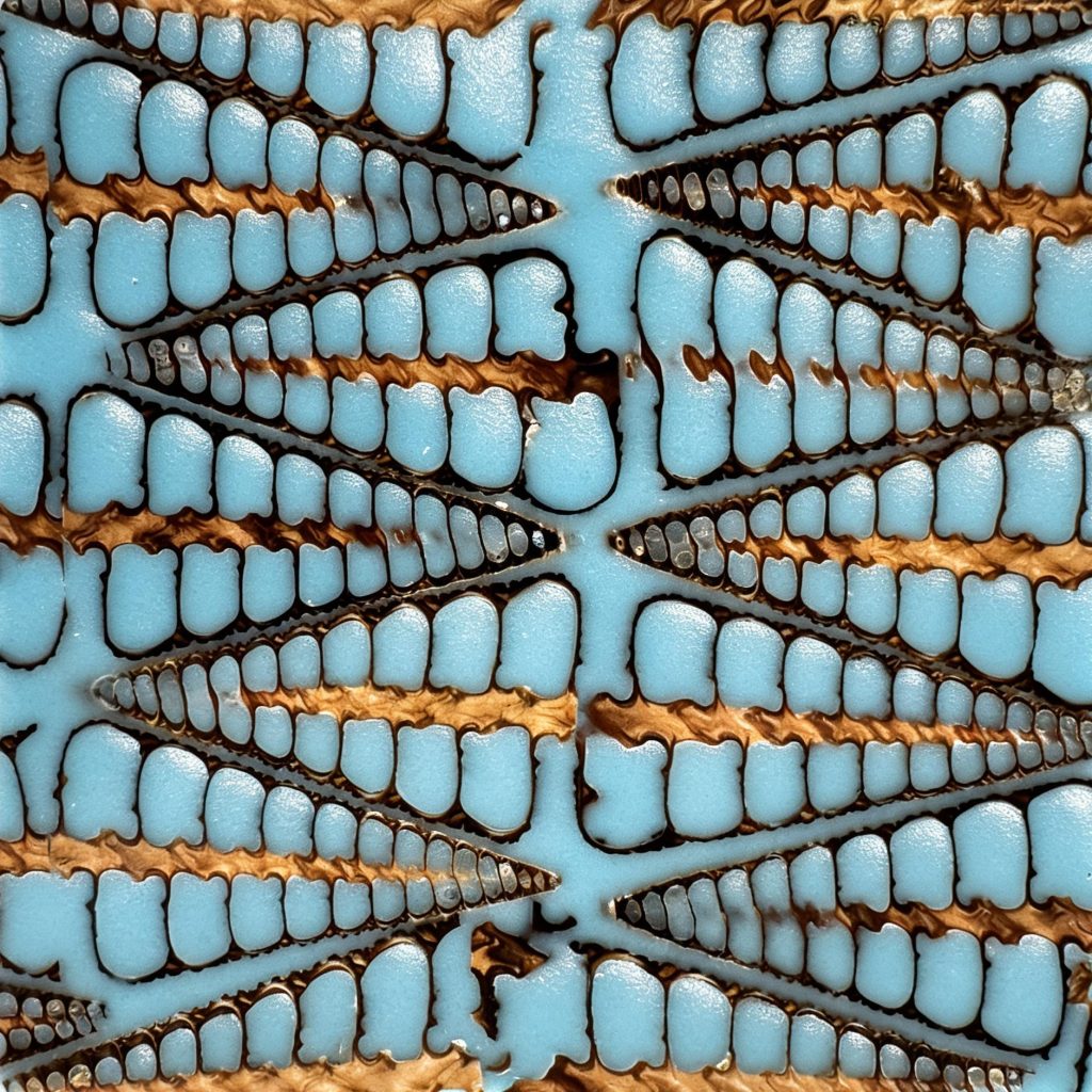Big Snail Fishbone Blue