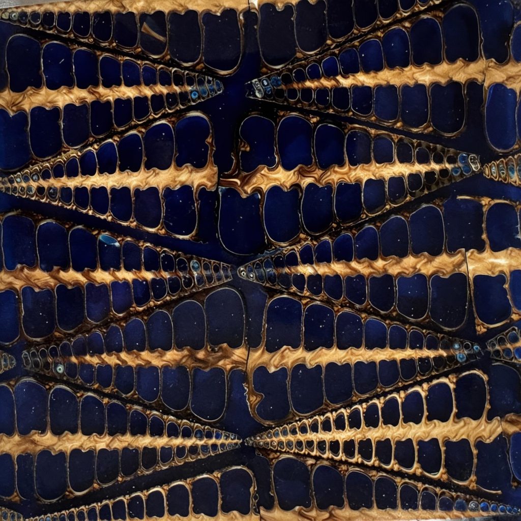 Big Snail Fishbone Navy Blue