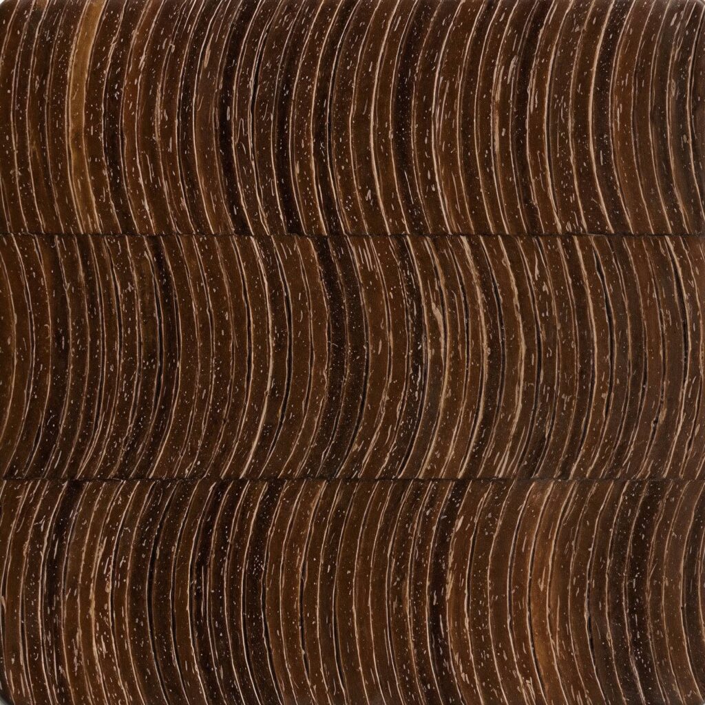Brown Coconut Slices Unfilled