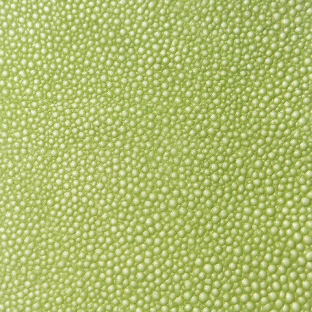 Green Peas